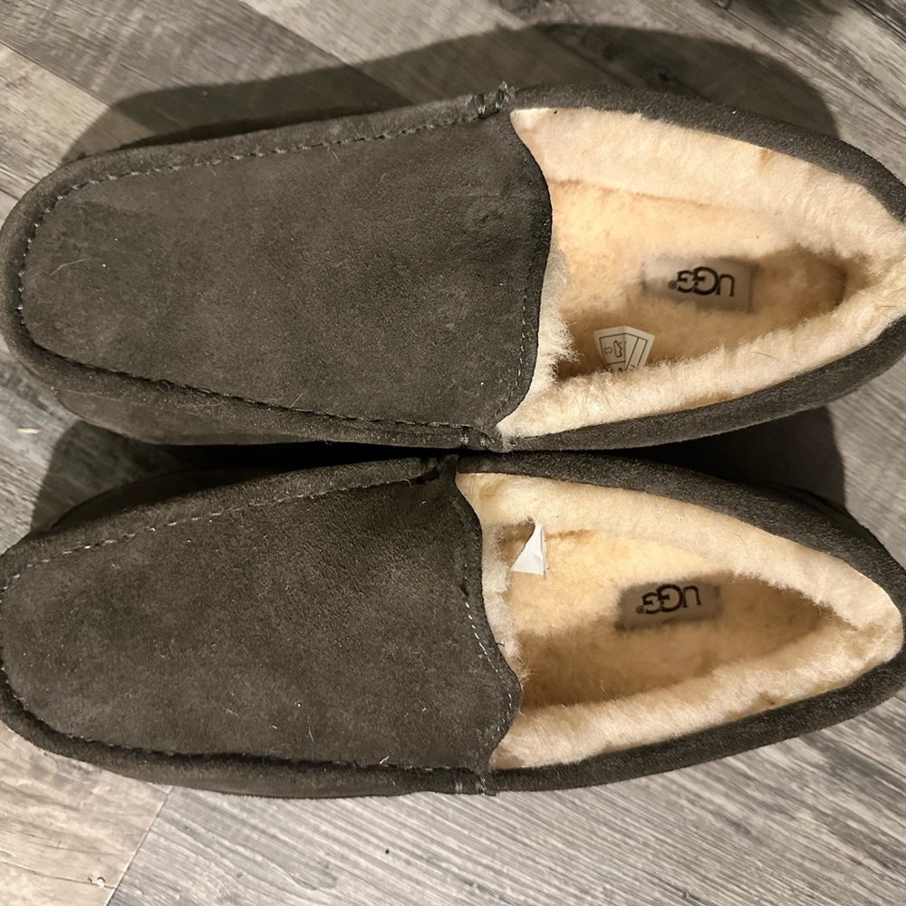 NWOT Brand new never worn without tags men’s Ugg Loafers